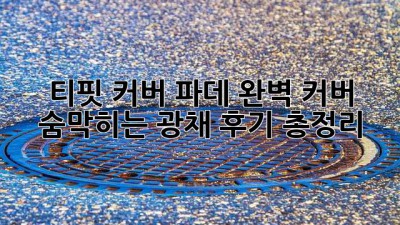 티핏 커버 파데: 완벽 커버 & 숨막히는 광채? 후기 총정리!