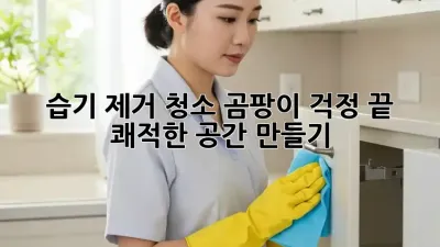 습기 제거 청소: 곰팡이 걱정 끝! 쾌적한 공간 만들기